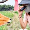 Close-up Monocular Designed for Low Vision Users who are Visually