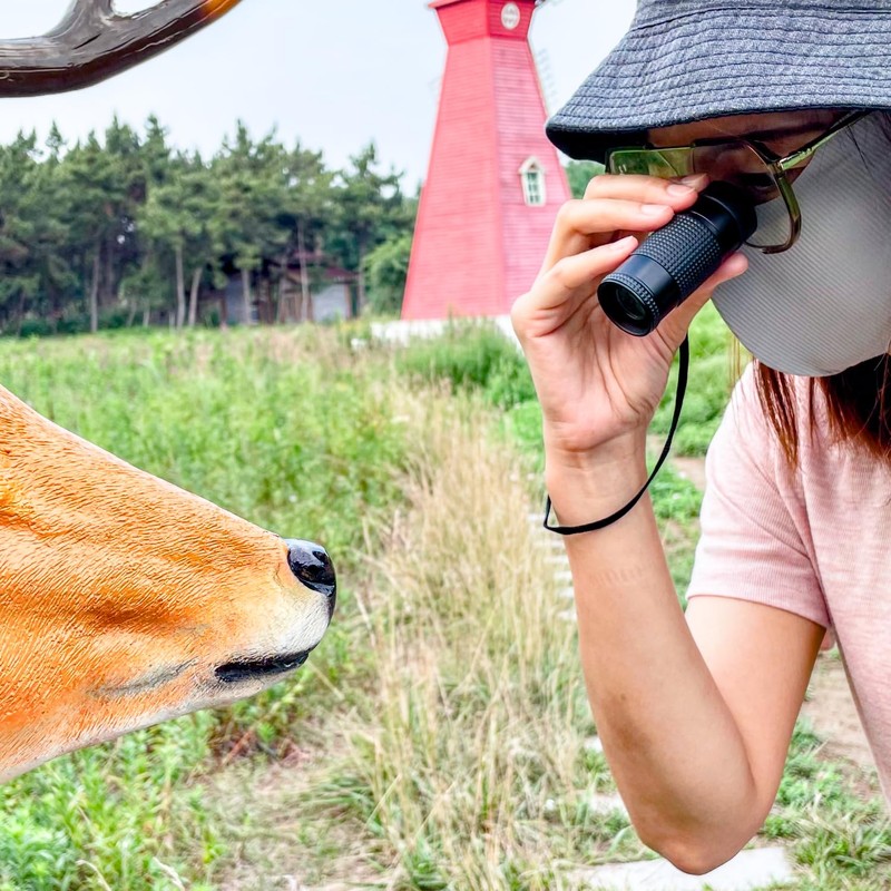 Close-up Monocular Designed for Low Vision Users who are Visually