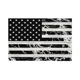 PhotoSteel American Flag Black & White Metal Sign 12" x 8"