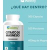 Citrato De Magnesio 300 Cápsulas Wellthy 100 Porciones Sabor Sin