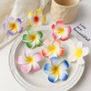 2 x hochwertige Plumeria-Haarspangen aus Schaumstoff, 7 cm, hawaiianische Blumen-Haarspangen