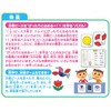 Kumon Publishing First Fraction Puzzle BP-21 Educational Toy, For Ages