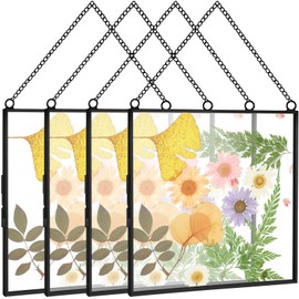 Treela Pressed Flowers Glass Frames 6 x 6 Inch, Hanging Double Glass Picture Frame Clear Square Floating Frames with Chains Graduation Wedding Gift for Dried Plant Specimen Gallery(Black,4 Pieces)