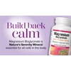 Natural Factors Magnesium Bisglycinate 100mg Plus L-Theanine 125mg, 90 vegetarian