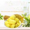 Durian-flavored gummy candies 150g (5.29oz)