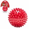 Drools Non-Toxic Rubber Dog Toy Hole Ball - 7.6cm (Medium)