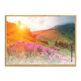 Wildlife Photography Magnet Series – Pink Flowers Mountainside Rustic Nature Photography Magnets for Fridge, Office, Cooler, Cabin Decor 2.5 x 3.5 inch (SJT09592)