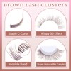 Brown Lash Clusters Natural Eyelash Clusters Invisible Band Brown Lash
