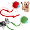 JinRui-T 2 PCS Active Rolling Ball with Tail for Dogs,Chewie