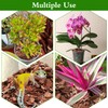 Orchid Bark Potting Mix,Premium Orchid Potting Mixture of Pine Bark