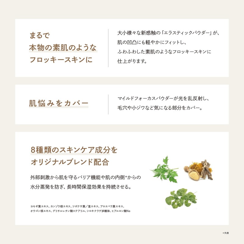 PARISBROW Flocked Face Powder 01/Translucent