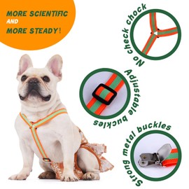 Hisprout 2-Piece Dog Nappy Suspenders, Dog Nappy Braces for Female/Male Dog, Belly Bands for Dog Nappy Harness (Green/Orange, S)