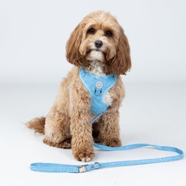 HUGO & HUDSON Tweed Dog Lead, Padded Handle Training Pet Leash, Blue, 1.2m Length x 2.5cm Width