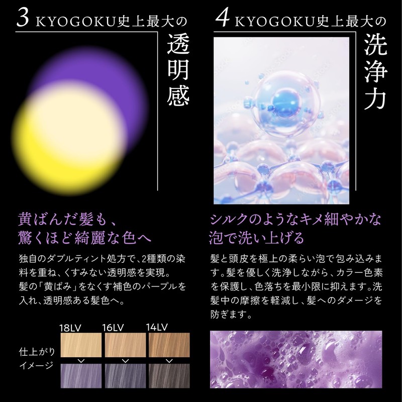 Kyogoku Blue Purple Color Shampoo, 6.8 fl oz (200 ml),