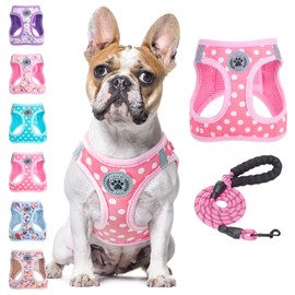 BEAUTYZOO Step in Dog Harness and Leash Set, Polka Dot Pattern Reflective Dog Harness No Pull No Choke Puppy Harness for XXS XS S Dogs Cats, Soft Padded Mesh Vest Harnesses for Girl and Boy Pets