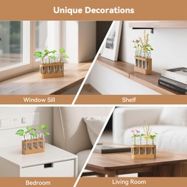 Lightalent Plant Propagation Station with 4 Glass Test Tubes & Beech Wood Stand, Gardening Gifts for Mom Women Plant Lovers, Hydroponic Vase for Indoor Plants, Desktop Terrarium Decor