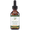 Native Remedies AdrenoBoost - All Natural Herbal Supplement for Adrenal