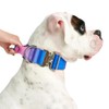 Spark Paws Tactical Dog Collar with Handle - Premium Quality