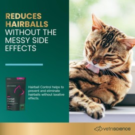 VetriScience Hairball Control Chews, Gentle Hairball Remedy for Cats, Omega-3 and Fiber Supplement, Support Digestion and Skin and Coat, Reduce Hairballs, Tasty Small Bites, Chicken, 60 Count