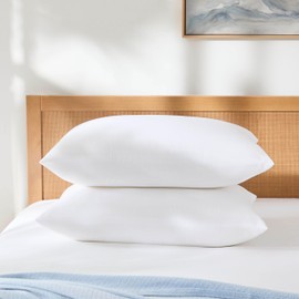 HALANS Bed Pillows for Sleeping - Breathable & Comfortable, Ideal for Side, Back & Stomach Sleepers, Hotel Collection Quality（20"X30" (Queen (2PACK))