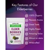 Organic Elderberries Dried Bulk | Whole European Elderberry Dried, Wildcrafted