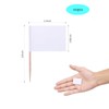 Blank Toothpick Flags, 100 Pcs Writing Craft Paper Food Label