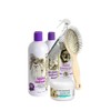 #1 All Systems Yorkie Grooming Kit, 6-Piece Set with Shampoo,