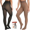 2 Pairs Fleece Lined Tights Women, Fake Translucent Thermal Winter