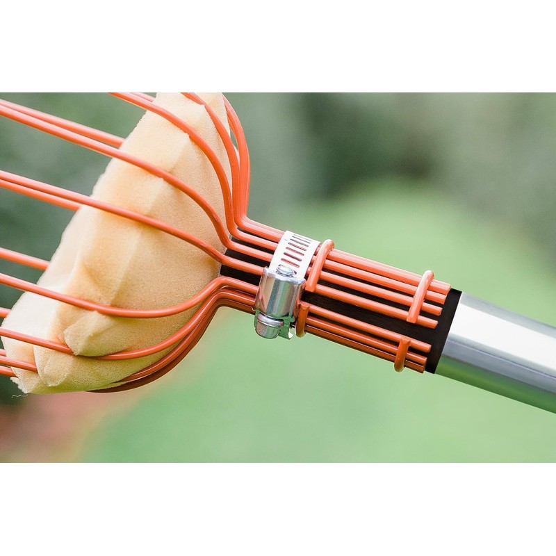 Teal Turtle Professional Apple Fruit Picker (Basket with Telescopic Handle,