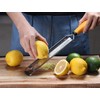 Deiss PRO Citrus Lemon Zester & Cheese Grater — Parmesan