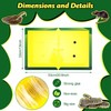 Qualirey 2 Pack Large 13" x 21" Snake Trap Glue