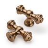 9BUILD 10 Pack Champagne Bronze Drawer Knobs Cabinet Knobs T