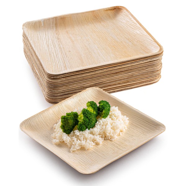 brheez Bamboo Plates Disposable Made From Palm Leaf - 100 Pack (10 inch) Eco Friendly Compostable & Biodegradable-Disposable Party Plates Heavy Duty more Environmentally Friendly than Paper Plates