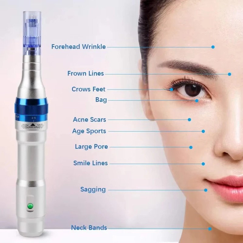 Handheld Home Use Skin Care Nutri Facial Beauty Penpower supply