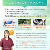 OFFICEAKIYAMA Wheelchair Belt, Wheelchair Belt, Domestic Durability Testing, 3D Structure