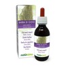 Beard Moss or Jupiter Beard (Usnea barbata) Thallus (Lichen) Alcohol-Free