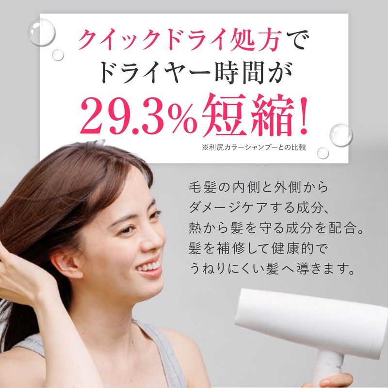RISHIRIA Furel (リシリアフレル) Color Shampoo (Natural Black) Refill Pouch 240ml