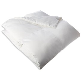 Blue Ridge Home Fashions 1000 Thread Count Egyptian Cotton Comforloft Down Alternative Comforter - Twin