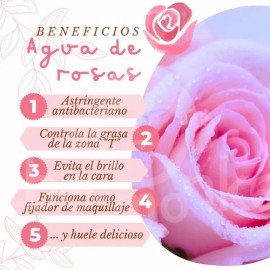 Loción Facial Astringente De Agua De Rosas Rubrial Todo Tipo De Piel