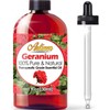 Artizen Geranium Essential Oil (100% Pure & Natural - UNDILUTED) Therapeutic Grade - Huge 1oz Bottle - Perfect for Aromatherapy, Relaxation, Skin Therapy & More!