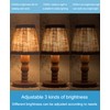 Youtime 3 Way Light Bulbs 50 100 150 Watt Equivalent