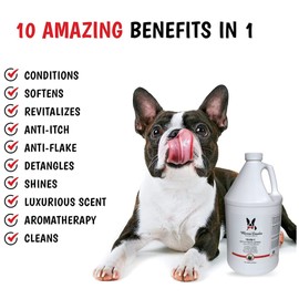 Warren London 10-in-1 After Bath Dog Spray | Dog Leave in Conditioner and Detangler Spray | Pet Grooming Spray with Aloe Vera, Silk Amino Acids and Green Tea Extract | Made in USA | 1gal