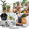 [FUPUTWO] Pot Cover, House Plants, Scandinavian Natural Material, Special Kraft