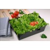 thermohauser SAN Plastic Display Tray, 30.0 x 19.0 x 9.0