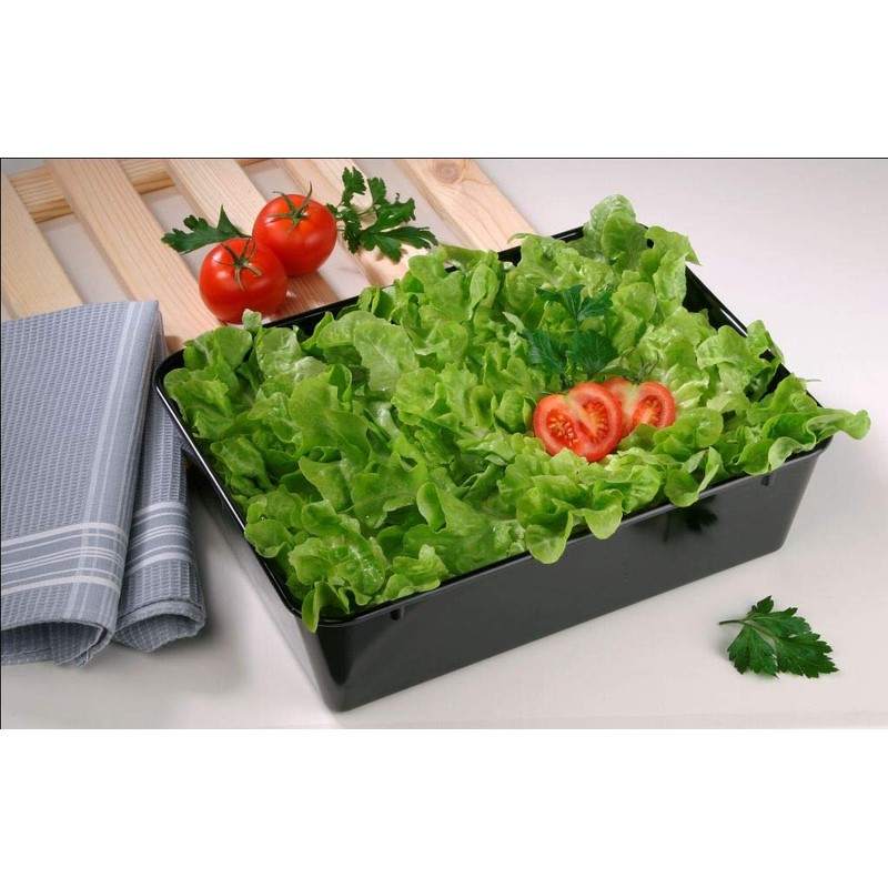 thermohauser SAN Plastic Display Tray, 30.0 x 19.0 x 9.0