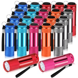 VIHOSE 20 Pcs Mini Flashlights Bulk, Bright Aluminum Handheld Flash Light with Lanyard, Small LED Flashlights for Kids Night Reading Emergency Hurricane Camping Hiking Party Favors(Lovely)