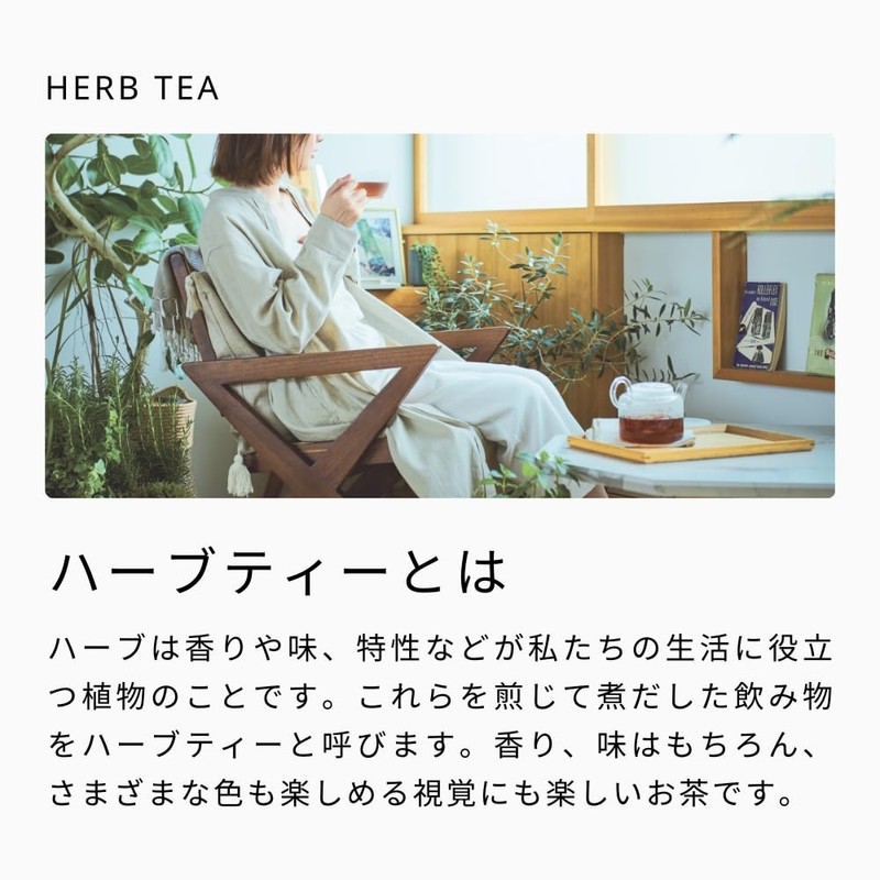 Tree of Life Cold Brew Delicious Herbal Tea Strawberry and