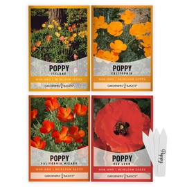 Gardeners Basics Poppy Seeds for Planting Outdoors Flower Seeds (Variety Pack of 4) Poppies Iceland, California, California Mikado and Red Corn Varieties for Bees, Pollinators Wildflower Seed