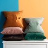JUSPURBET Jam Velvet Throw Pillow Covers 18x18 inch Set of