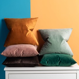 JUSPURBET Jam Velvet Throw Pillow Covers 18x18 inch Set of 2 for Living Room Couch Sofa Bedroom Decorative Solid Soft Cushion Cases with Invisible Zipper